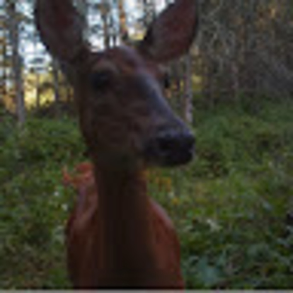 Meet your Posher, Jenna